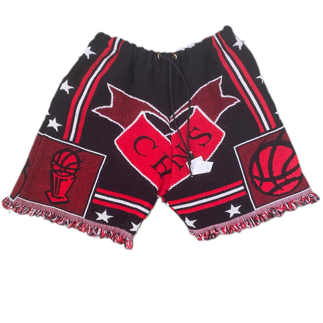 Bulls Shorts